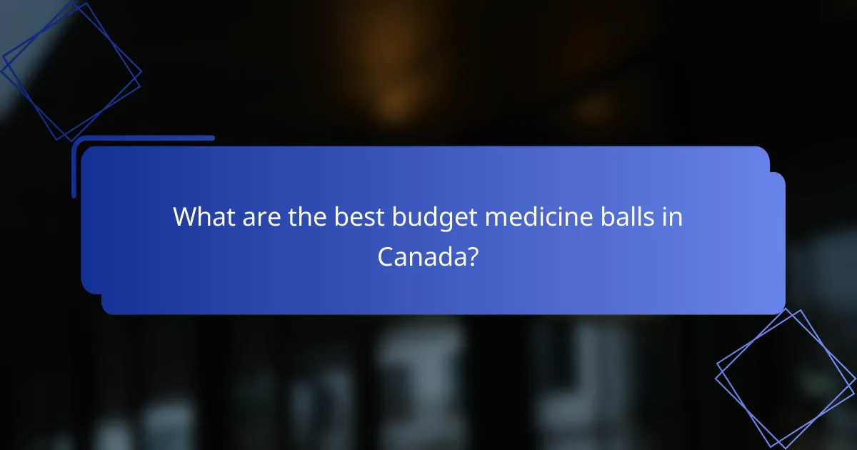 What are the best budget medicine balls in Canada?