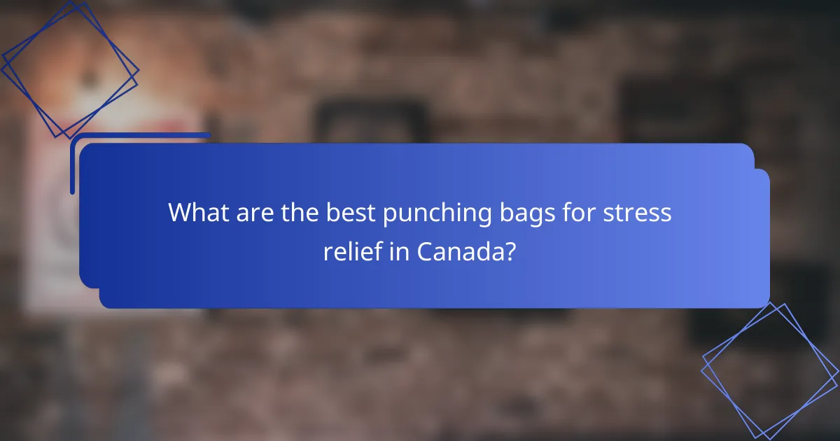 What are the best punching bags for stress relief in Canada?