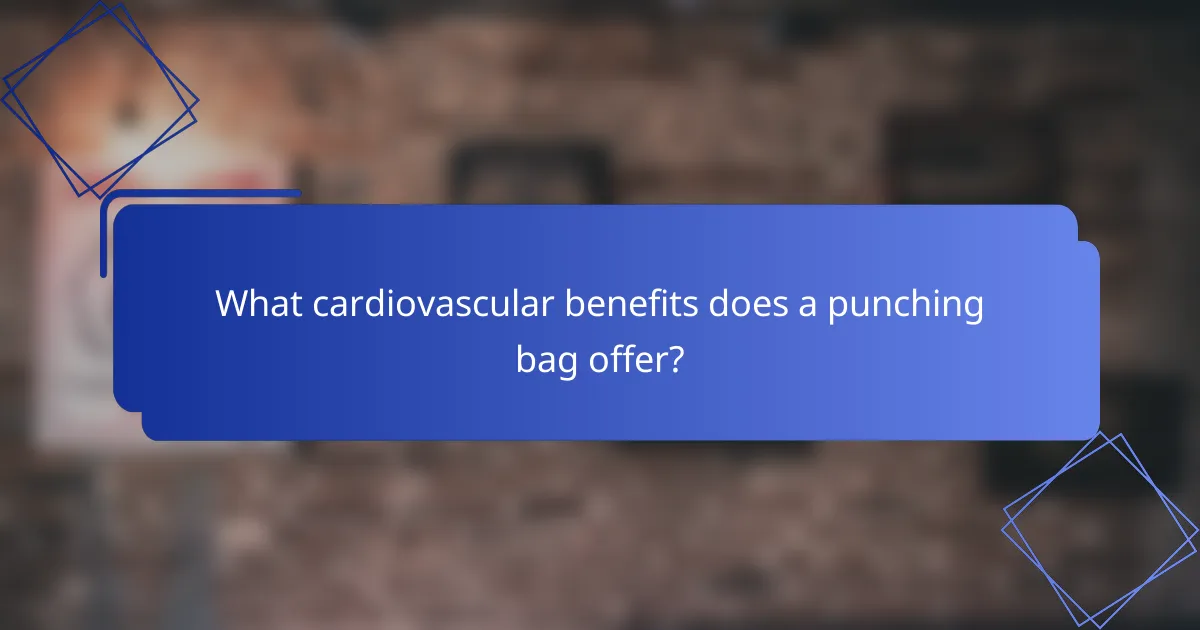 What cardiovascular benefits does a punching bag offer?